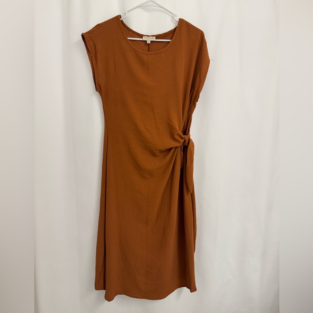 Elegant Rust Dress